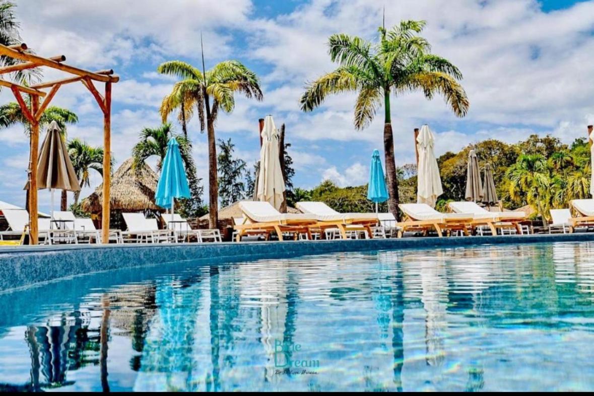 La Ruche De Maia - Blue Dream Beach - Piscine - Jardin - Plage Grand-Bourg  Extérieur photo