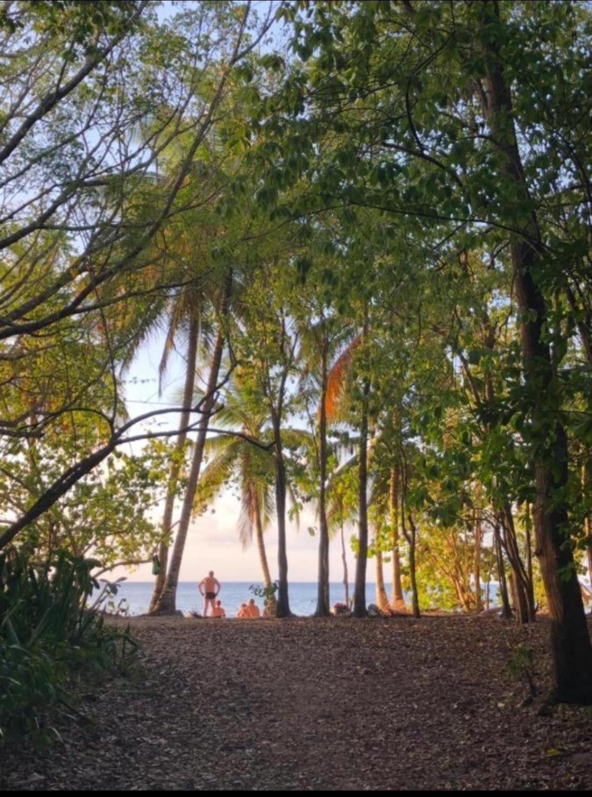 La Ruche De Maia - Blue Dream Beach - Piscine - Jardin - Plage Grand-Bourg  Extérieur photo