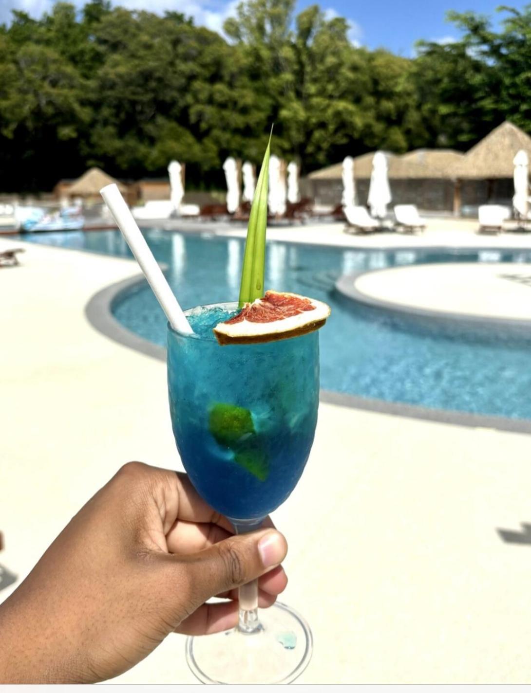 La Ruche De Maia - Blue Dream Beach - Piscine - Jardin - Plage Grand-Bourg  Extérieur photo