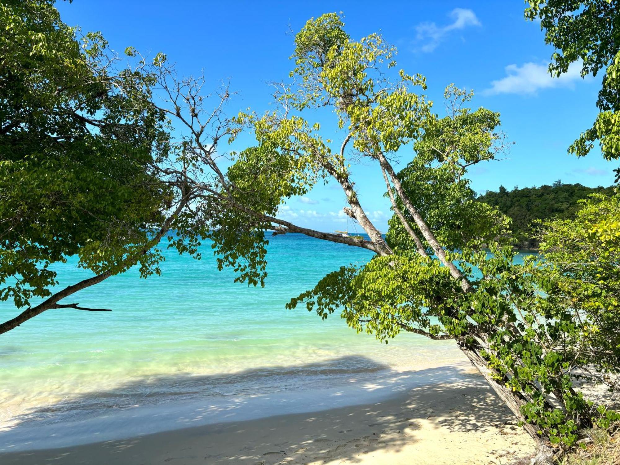 La Ruche De Maia - Blue Dream Beach - Piscine - Jardin - Plage Grand-Bourg  Extérieur photo