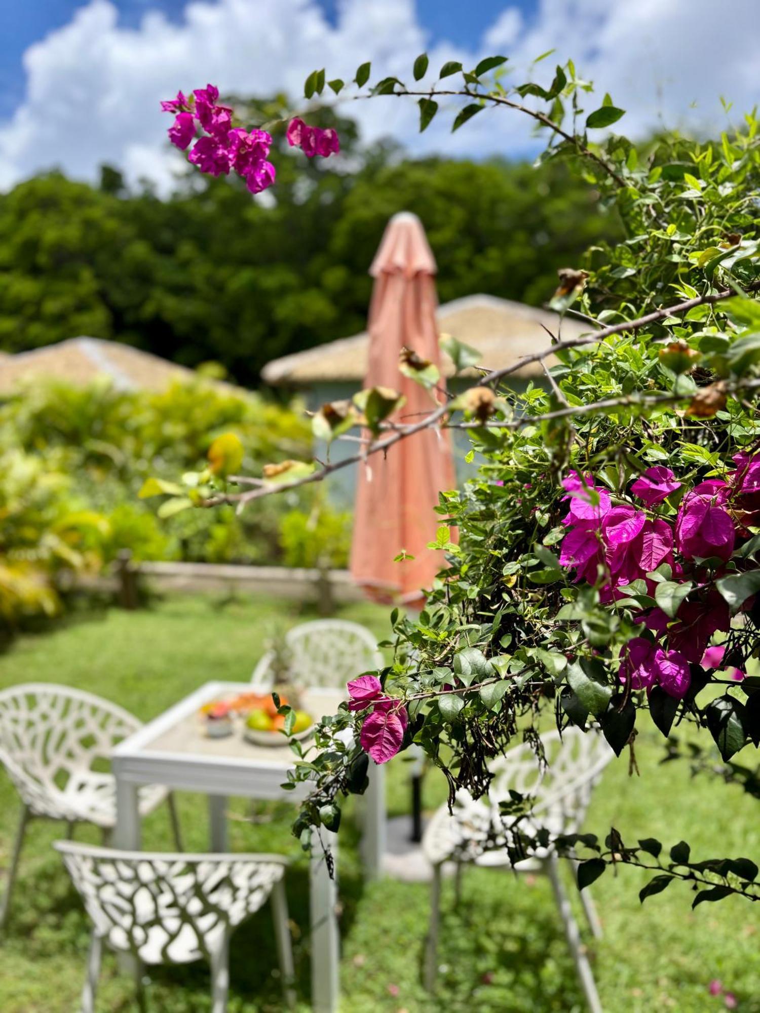 La Ruche De Maia - Blue Dream Beach - Piscine - Jardin - Plage Grand-Bourg  Extérieur photo